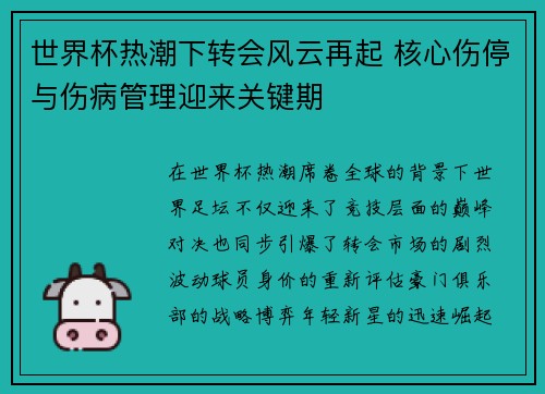世界杯热潮下转会风云再起 核心伤停与伤病管理迎来关键期